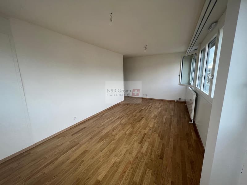Elegante appartamento di 5 locali ristrutturato nel quartiere ambito di Carouge (11)
