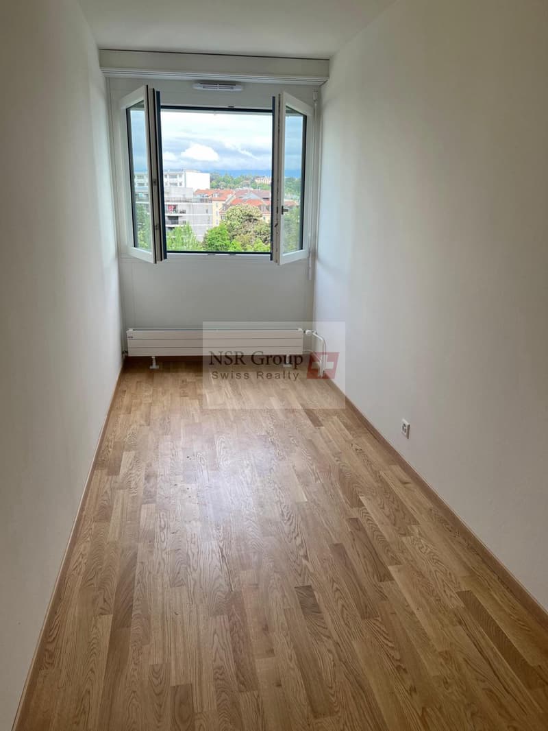 Elegante appartamento di 5 locali ristrutturato nel quartiere ambito di Carouge (8)