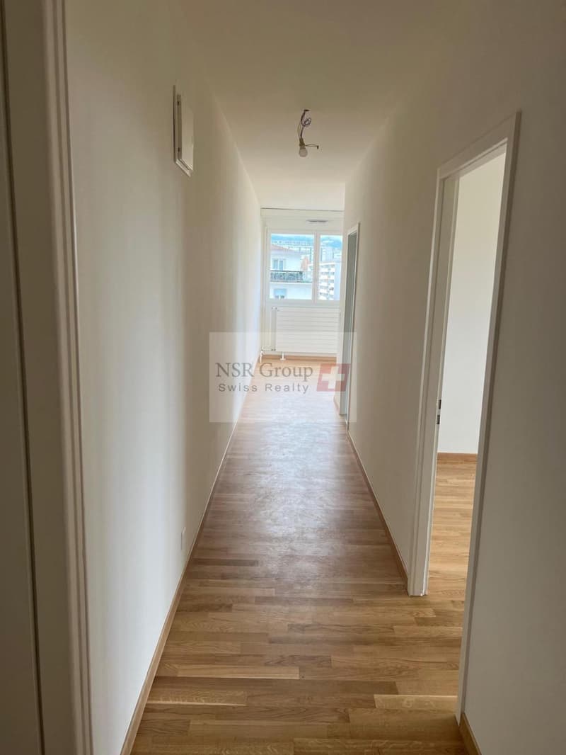 Elegante appartamento di 5 locali ristrutturato nel quartiere ambito di Carouge (5)