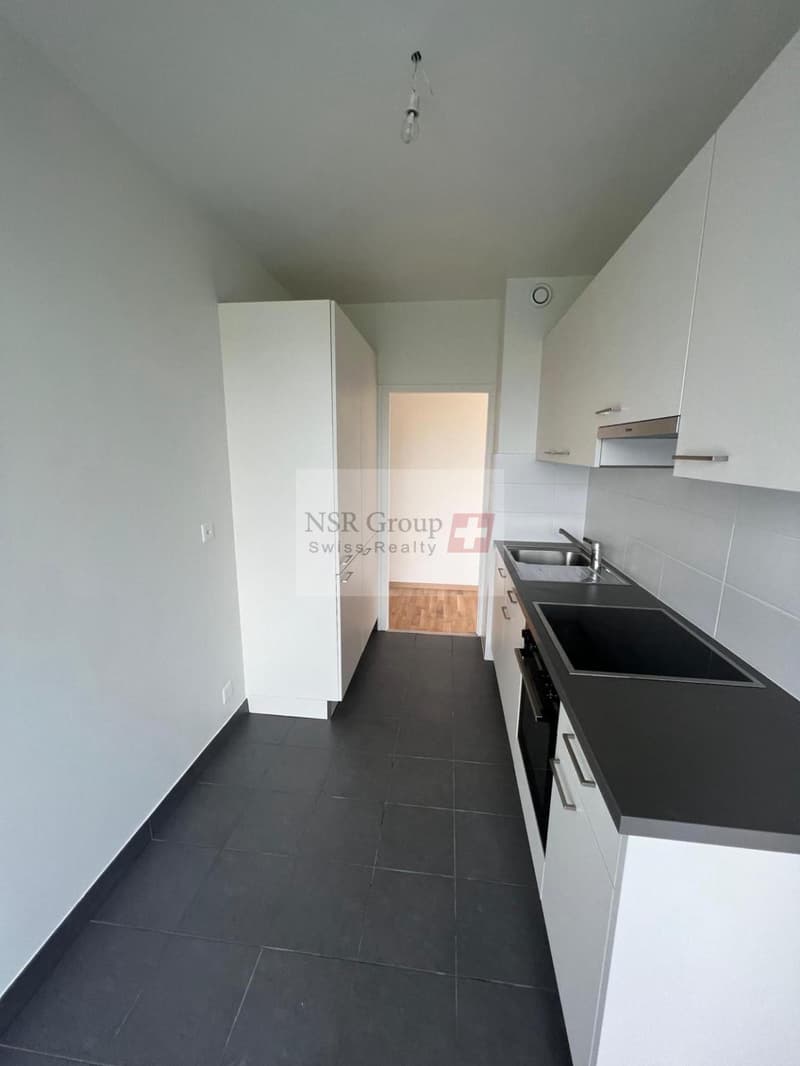 Elegante appartamento di 5 locali ristrutturato nel quartiere ambito di Carouge (4)