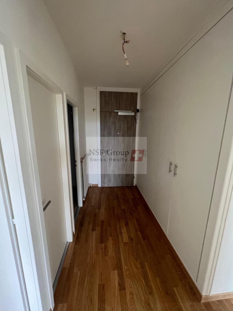 Elegante appartamento di 5 locali ristrutturato nel quartiere ambito di Carouge (10)