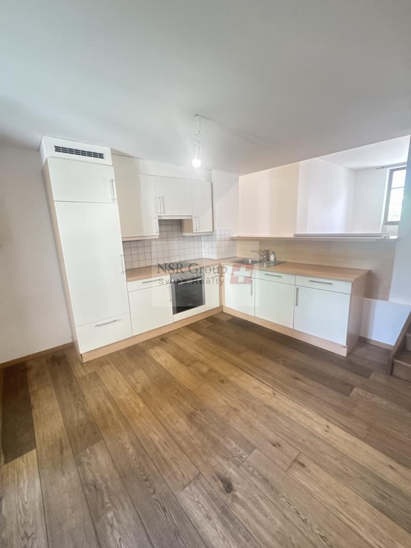 For rent? Superb 4-room apartment in the heart of Vieux-Carouge (4)