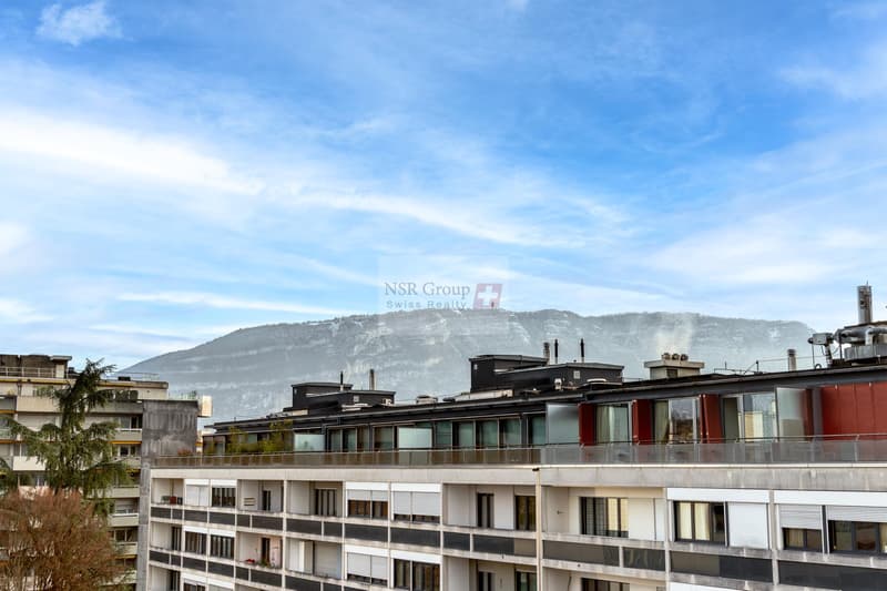 Prächtiges Dachgeschoss-Duplex-Apartment in Malagnou (4)