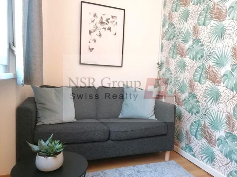 For rent? Furnished 2-room apartment (3)