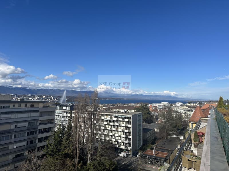 Malagnou - Attico ristrutturato con terrazza e vista lago (6)