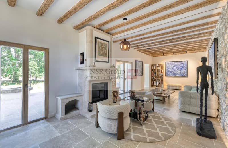 Belle maison de maître à louer ? 10 pièces au coeur de Presinge (6)