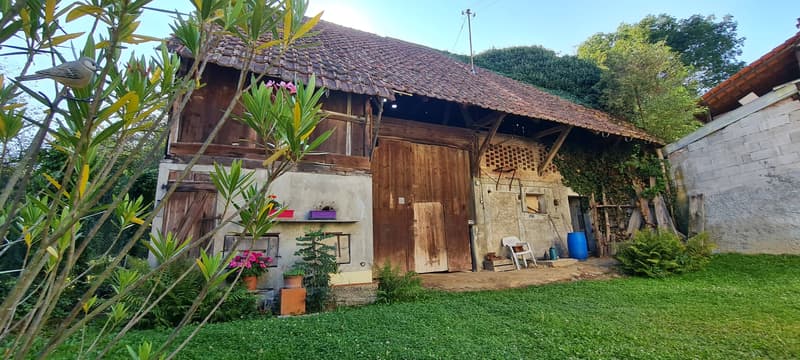 Casa alsaziana (3)