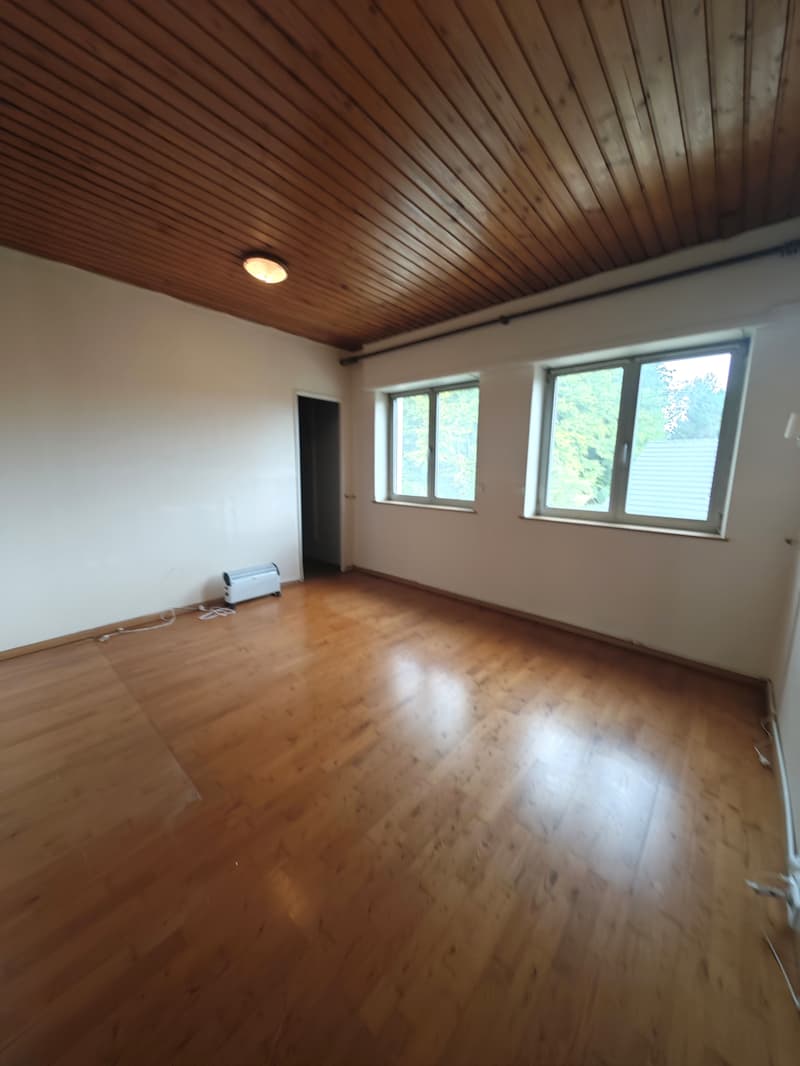 Geräumiges Familienhaus mit 162 m² auf 12,23 Ar Land (13)