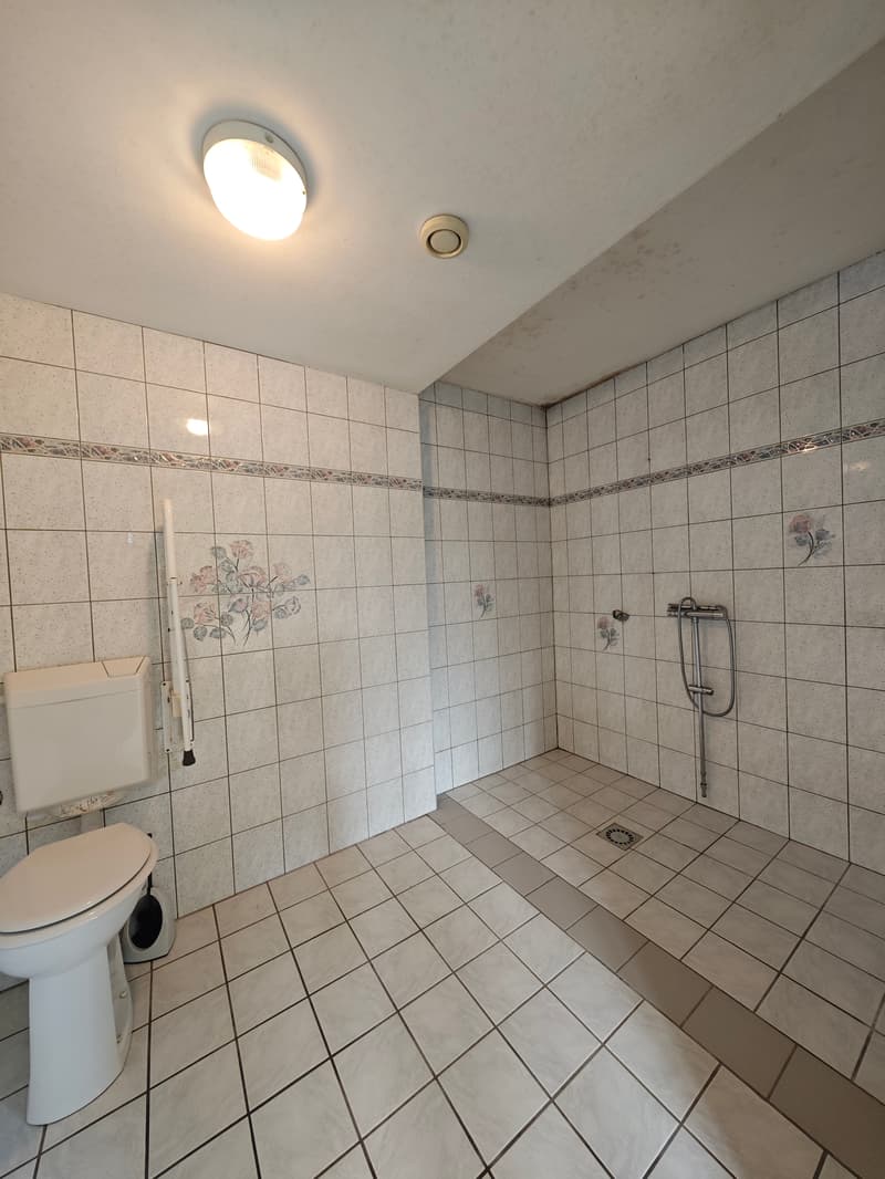 Geräumiges Familienhaus mit 162 m² auf 12,23 Ar Land (9)