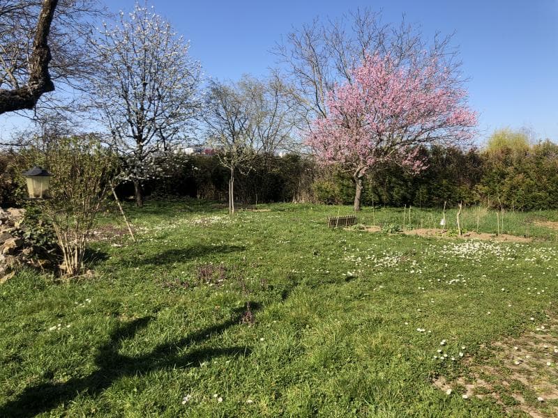 27m² studio on the ground floor (7)