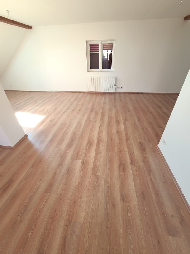 Haus von 150m² in Folgensbourg (13)