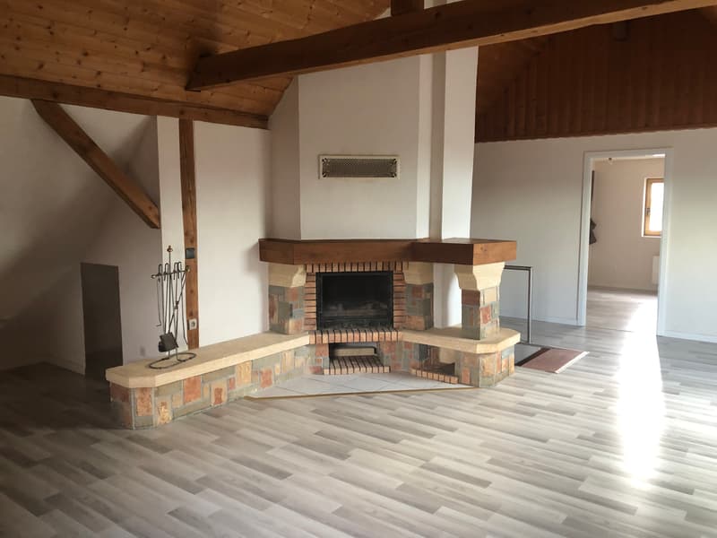 Rare dans le Sundgau (20min de Bâle) Propriété 263m² de charme sur 3,4 hectares avec 3 logements (7)