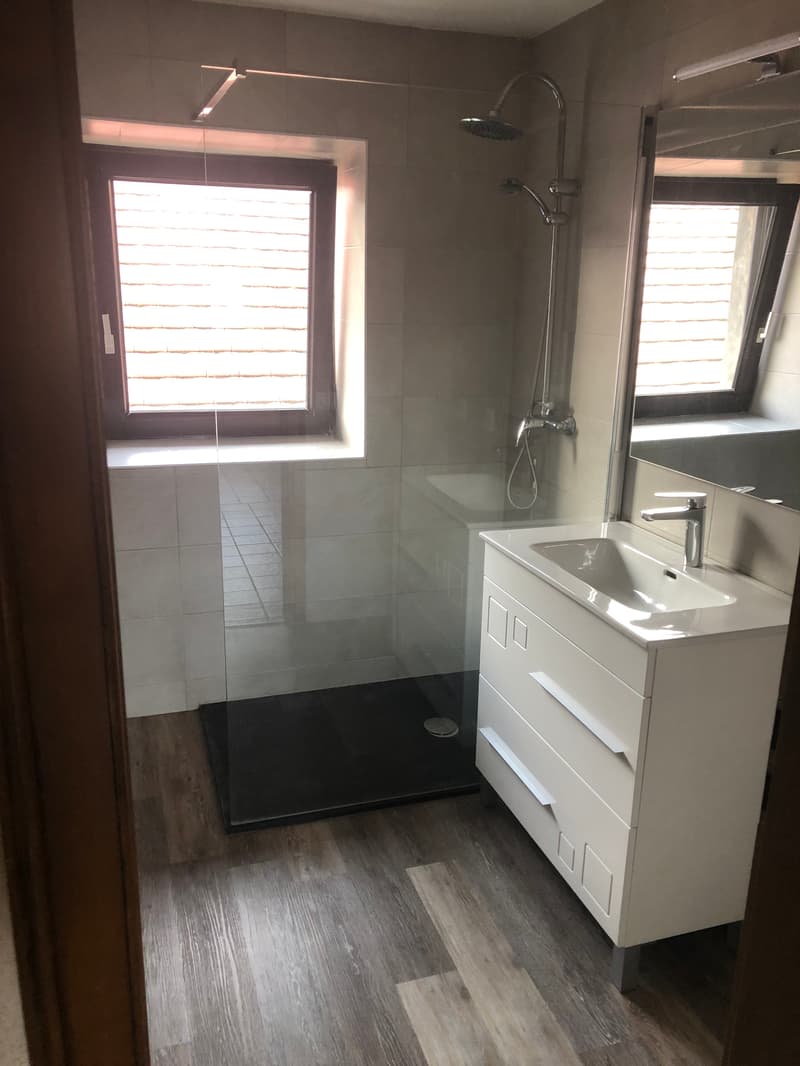 Rare dans le Sundgau (20min de Bâle) Propriété 263m² de charme sur 3,4 hectares avec 3 logements (5)