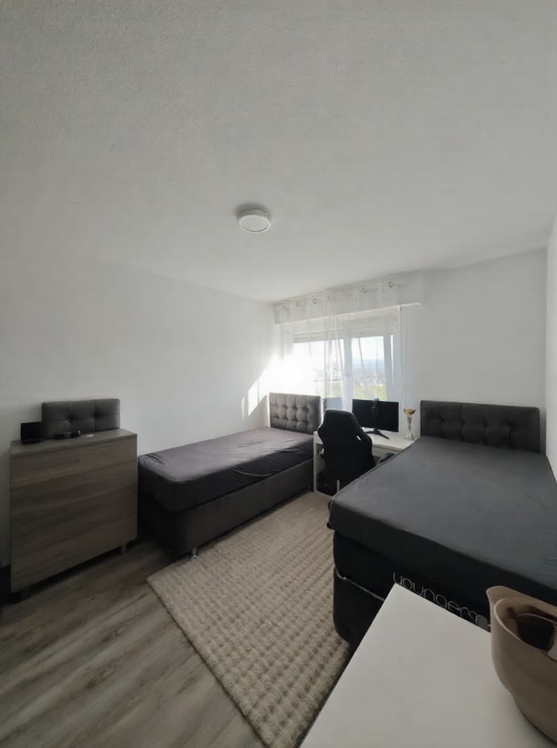 Guaranteed to charm: 3-room apartment renovated with balcony close to the Swiss border (4)