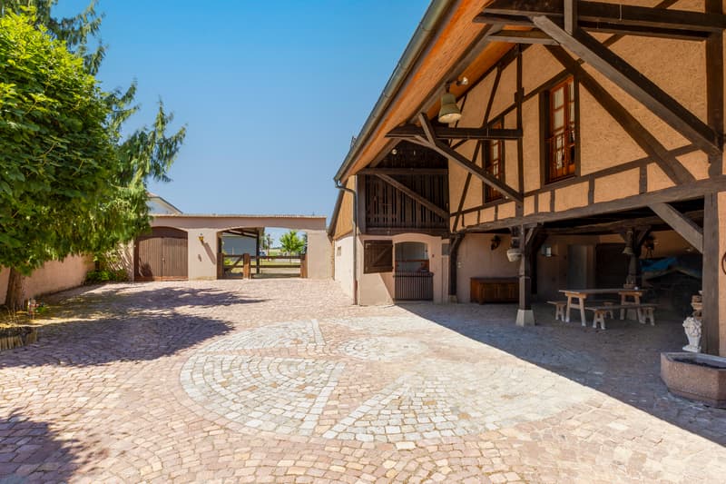 Seltenes Angebot: Authentisches Haus von 233m² (1)