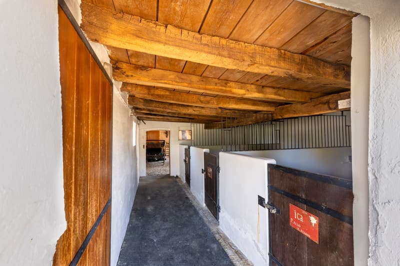 Seltenes Angebot: Authentisches Haus von 233m² (5)