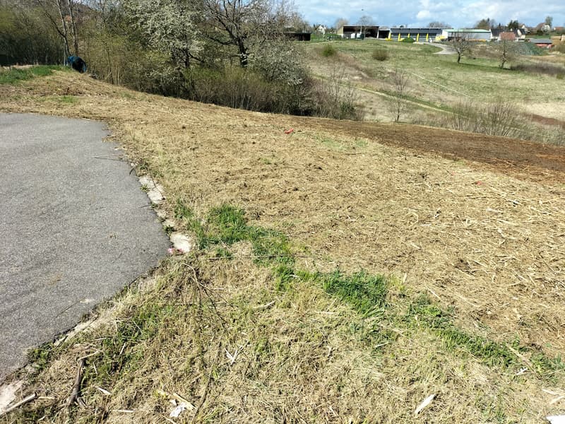 Baugrundstück in Ferrette (4)