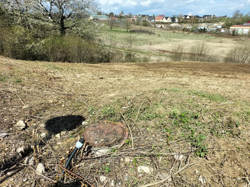 Baugrundstück in Ferrette (3)