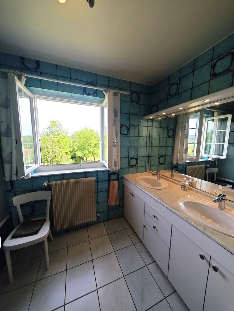 Eigenschaft mit 7 Zimmern, Swimmingpool und ausbaufähiger Nebengebäude in der Nähe der Schweizer Grenze (12)