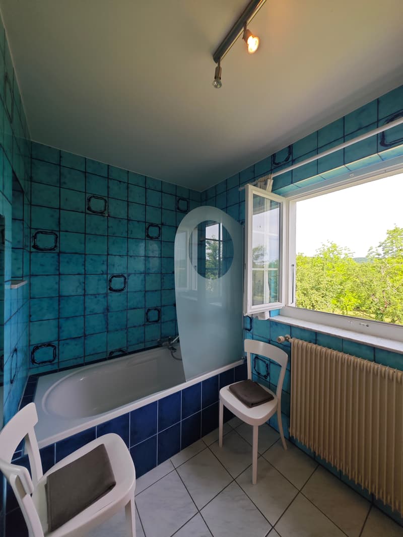 Eigenschaft mit 7 Zimmern, Swimmingpool und ausbaufähiger Nebengebäude in der Nähe der Schweizer Grenze (13)