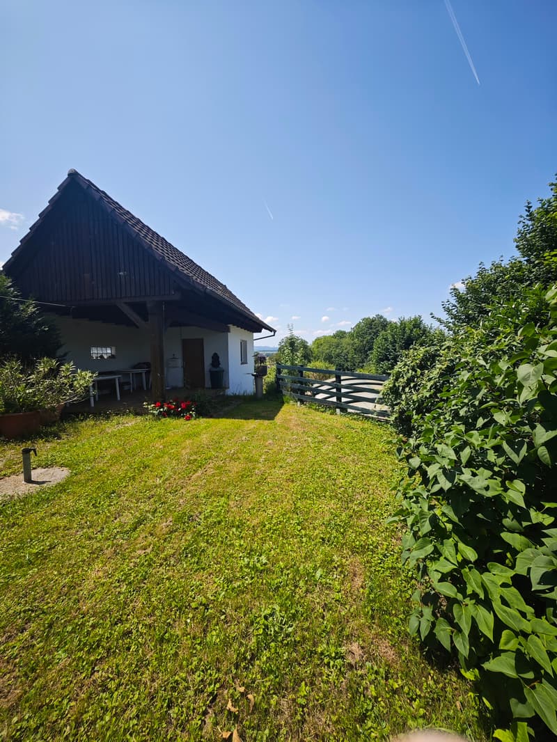 Eigenschaft mit 7 Zimmern, Swimmingpool und ausbaufähiger Nebengebäude in der Nähe der Schweizer Grenze (4)