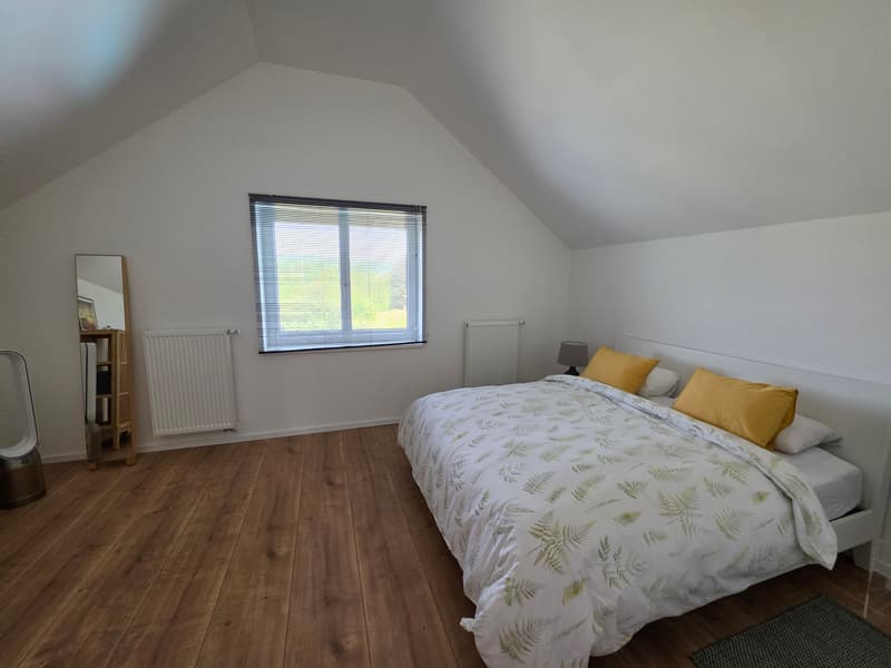 Spacieuse maison rénovée avec 5 chambres sur 18 ares (11)