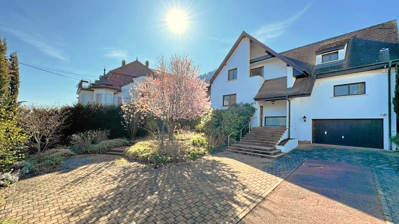 Architektenhaus von 218 m² in einer grünen Oase (6)