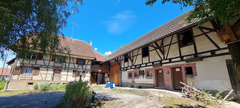 Bauernhof mit Nebengebäuden und Scheune (3)