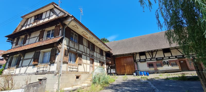 Bauernhof mit Nebengebäuden und Scheune (2)