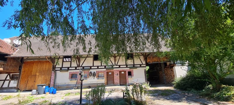 Bauernhof mit Nebengebäuden und Scheune (4)