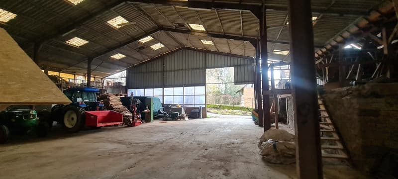 Bauernhof mit Nebengebäuden und Scheune (10)