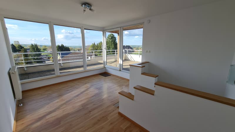 Triplex avec jardin (1)