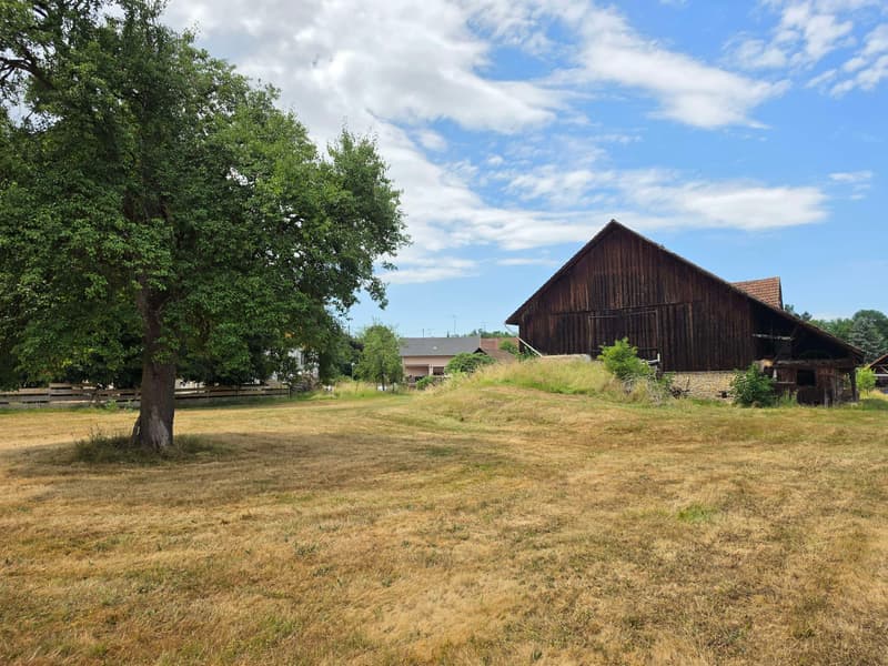 Maison/Ferme à rénover sur 42 ares (4)