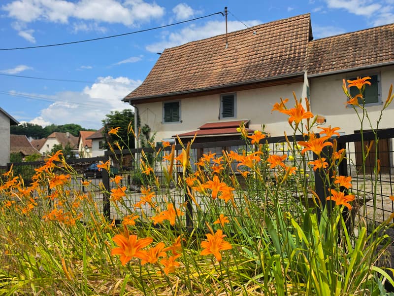 Maison/Ferme à rénover sur 42 ares (2)