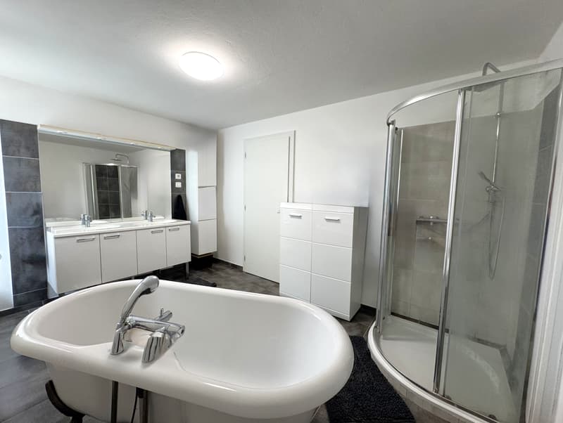 Ampia casa familiare di 153 m² su un terreno di 10,81 are, alle porte della Svizzera (7)