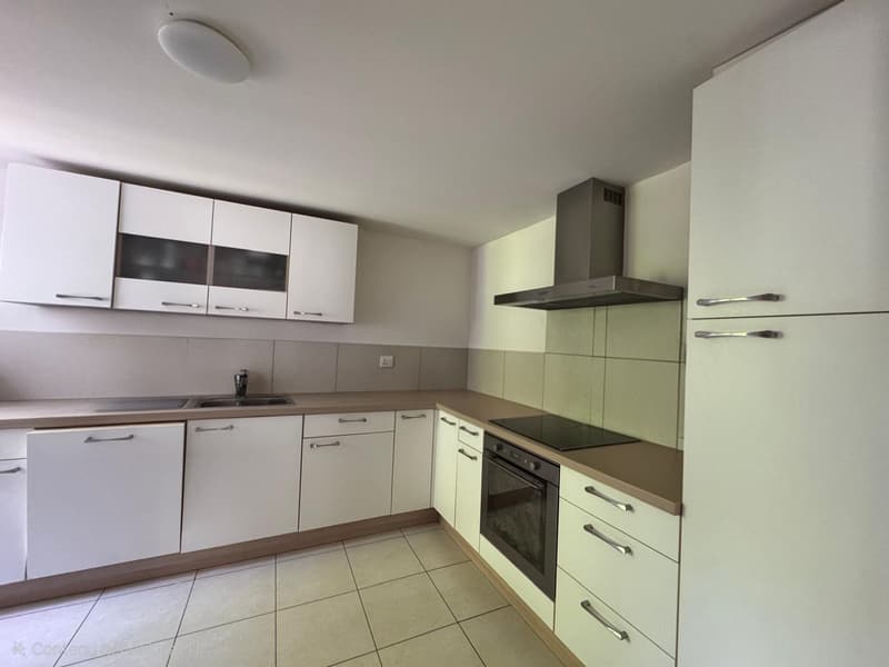 Ampia casa familiare di 153 m² su un terreno di 10,81 are, alle porte della Svizzera (9)