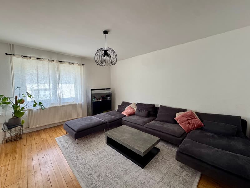 Ampia casa familiare di 153 m² su un terreno di 10,81 are, alle porte della Svizzera (3)