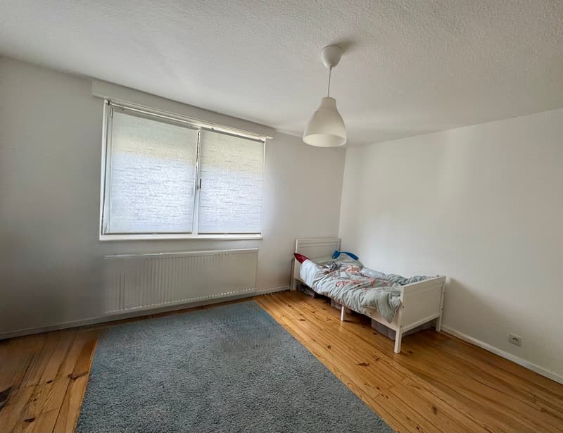 Ampia casa familiare di 153 m² su un terreno di 10,81 are, alle porte della Svizzera (5)