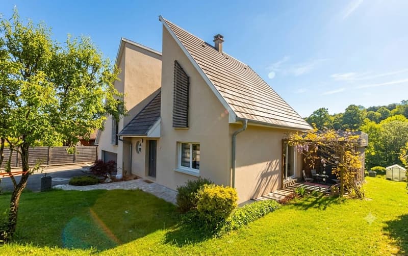 Maison contemporaine sur 14,40 ares (1)