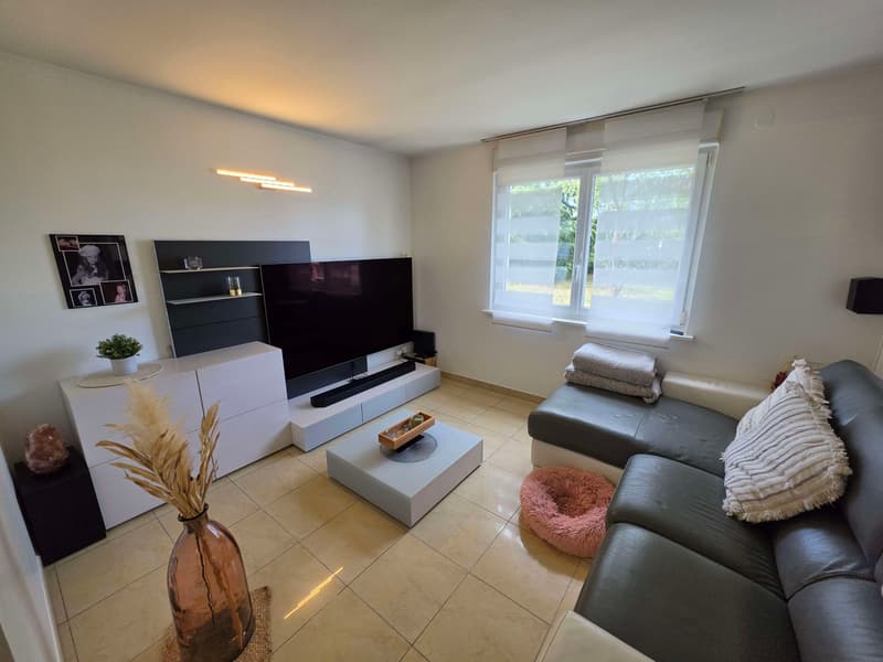 Maison contemporaine sur 14,40 ares (3)
