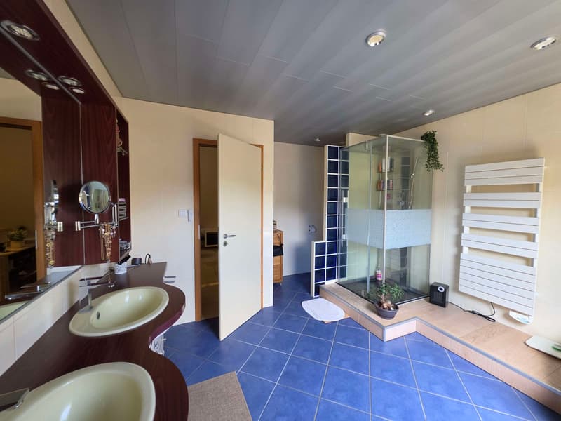 Maison contemporaine sur 14,40 ares (9)