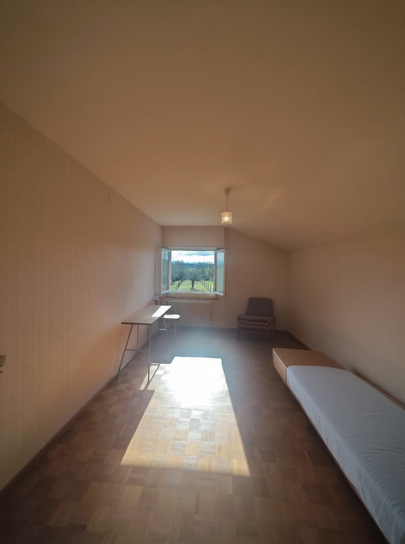 Maison familiale 5 chambres avec grand garage et jardin Proche frontière suisse (11)