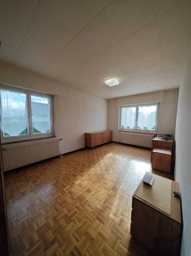 Maison familiale 5 chambres avec grand garage et jardin Proche frontière suisse (8)