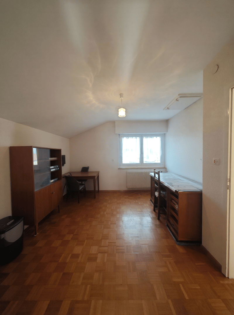 Maison familiale 5 chambres avec grand garage et jardin Proche frontière suisse (12)