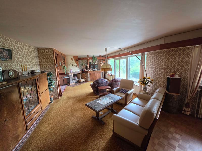 Grande maison sur 9,37 ares (2)