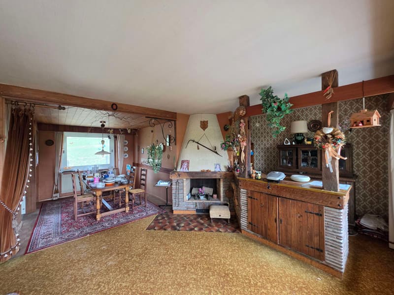 Grande maison sur 9,37 ares (4)