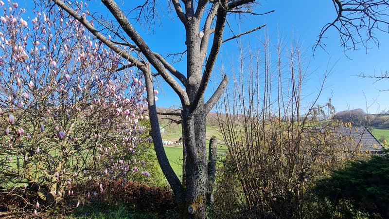Grande maison sur 9,37 ares (6)