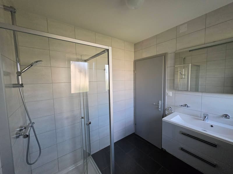 Maison bi-famille sur 8 ares (3)