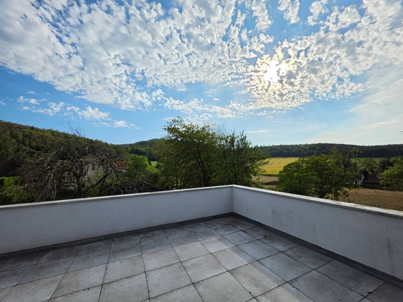 Maison bi-famille sur 8 ares (2)