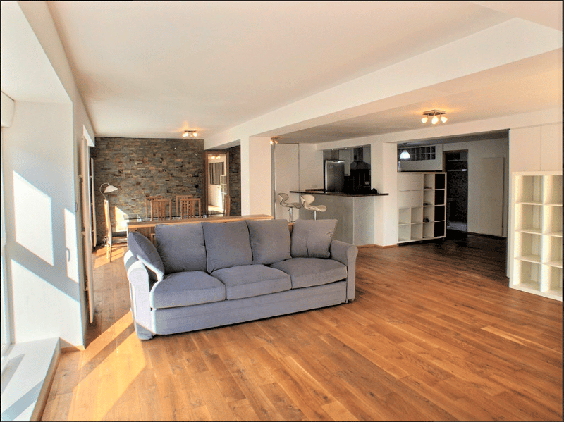 Spacieux F2 de 94m² meublé (1)